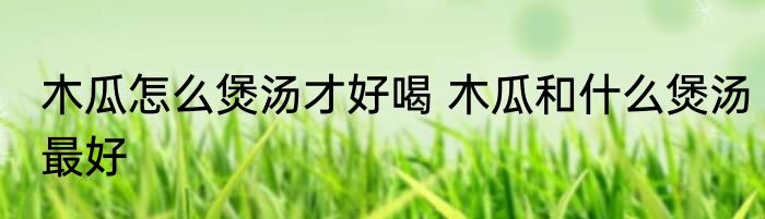 木瓜怎么煲汤才好喝 木瓜和什么煲汤最好