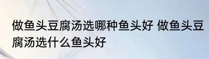 做鱼头豆腐汤选哪种鱼头好 做鱼头豆腐汤选什么鱼头好