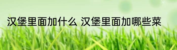 汉堡里面加什么 汉堡里面加哪些菜