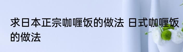 求日本正宗咖喱饭的做法 日式咖喱饭的做法