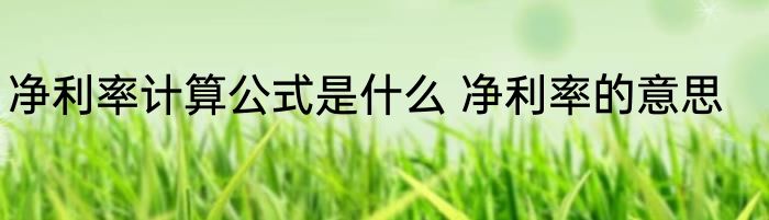 净利率计算公式是什么 净利率的意思