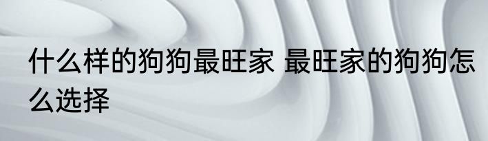 什么样的狗狗最旺家 最旺家的狗狗怎么选择