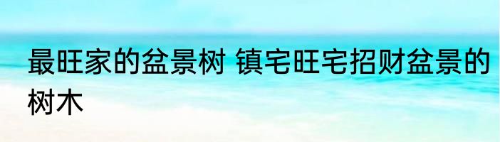 最旺家的盆景树 镇宅旺宅招财盆景的树木