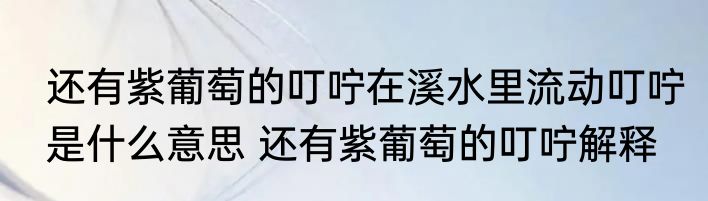 还有紫葡萄的叮咛在溪水里流动叮咛是什么意思 还有紫葡萄的叮咛解释