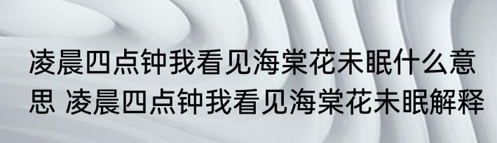 凌晨四点钟我看见海棠花未眠什么意思 凌晨四点钟我看见海棠花未眠解释