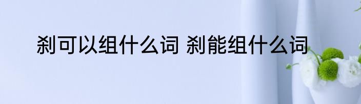 刹可以组什么词 刹能组什么词