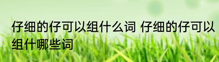 仔细的仔可以组什么词 仔细的仔可以组什哪些词