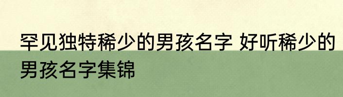 罕见独特稀少的男孩名字 好听稀少的男孩名字集锦