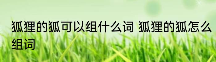 狐狸的狐可以组什么词 狐狸的狐怎么组词