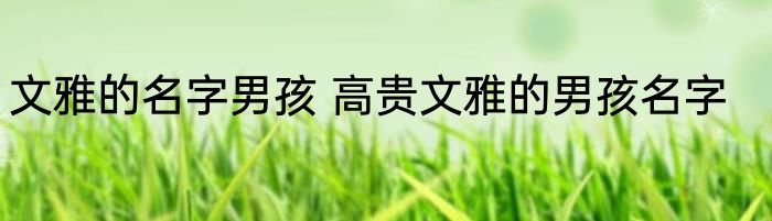 文雅的名字男孩 高贵文雅的男孩名字