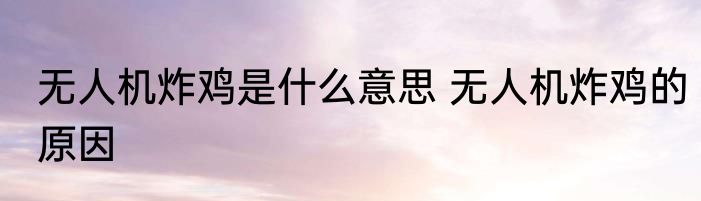 无人机炸鸡是什么意思 无人机炸鸡的原因