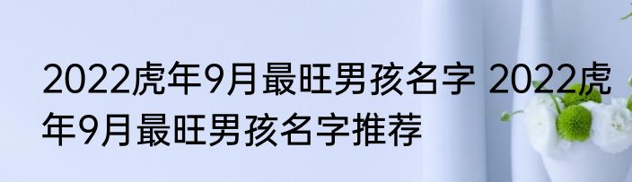 2022虎年9月最旺男孩名字 2022虎年9月最旺男孩名字推荐