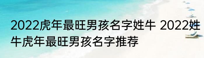 2022虎年最旺男孩名字姓牛 2022姓牛虎年最旺男孩名字推荐