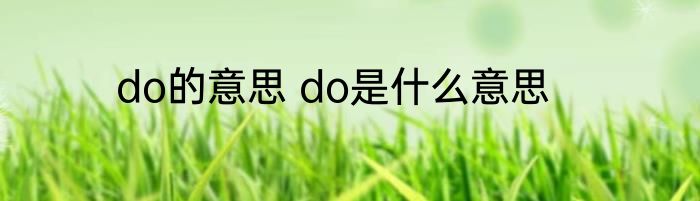 do的意思 do是什么意思