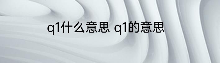 q1什么意思 q1的意思