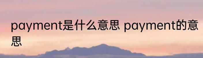 payment是什么意思 payment的意思