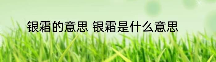 银霜的意思 银霜是什么意思