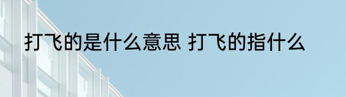 打飞的是什么意思 打飞的指什么
