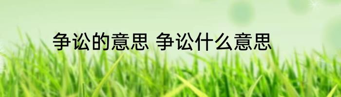 争讼的意思 争讼什么意思