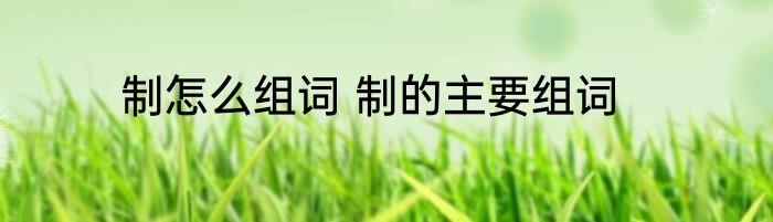 制怎么组词 制的主要组词