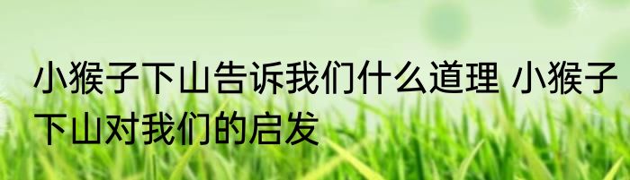 小猴子下山告诉我们什么道理 小猴子下山对我们的启发