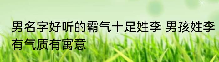 男名字好听的霸气十足姓李 男孩姓李有气质有寓意