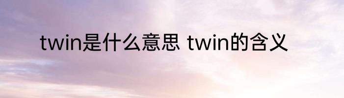 twin是什么意思 twin的含义