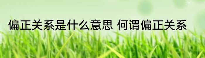 偏正关系是什么意思 何谓偏正关系