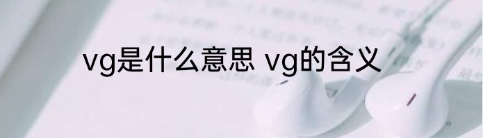 vg是什么意思 vg的含义