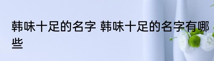 韩味十足的名字 韩味十足的名字有哪些