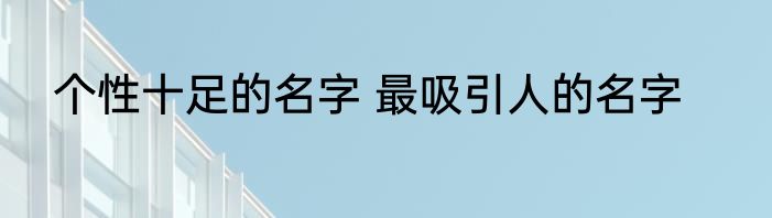 个性十足的名字 最吸引人的名字