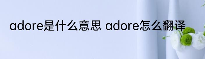 adore是什么意思 adore怎么翻译