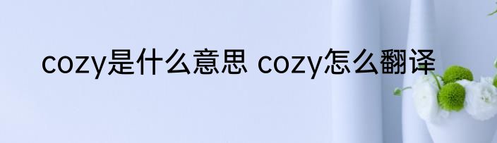 cozy是什么意思 cozy怎么翻译