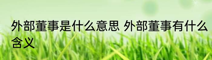 外部董事是什么意思 外部董事有什么含义
