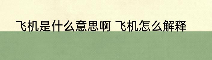 飞机是什么意思啊 飞机怎么解释