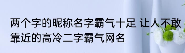 两个字的昵称名字霸气十足 让人不敢靠近的高冷二字霸气网名