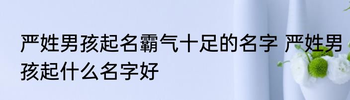 严姓男孩起名霸气十足的名字 严姓男孩起什么名字好