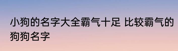 小狗的名字大全霸气十足 比较霸气的狗狗名字