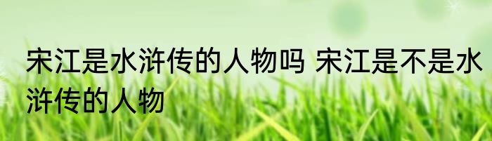 宋江是水浒传的人物吗 宋江是不是水浒传的人物