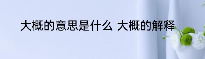 大概的意思是什么 大概的解释