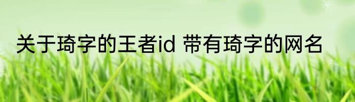 关于琦字的王者id 带有琦字的网名