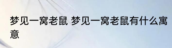 梦见一窝老鼠 梦见一窝老鼠有什么寓意