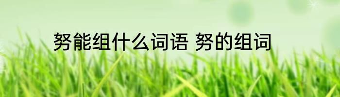 努能组什么词语 努的组词