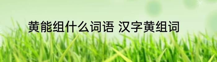 黄能组什么词语 汉字黄组词