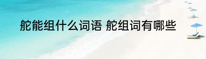 舵能组什么词语 舵组词有哪些