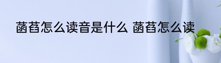 菡萏怎么读音是什么 菡萏怎么读