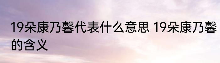 19朵康乃馨代表什么意思 19朵康乃馨的含义