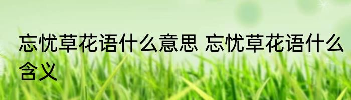 忘忧草花语什么意思 忘忧草花语什么含义