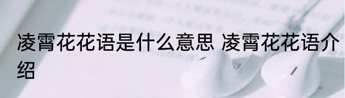 凌霄花花语是什么意思 凌霄花花语介绍