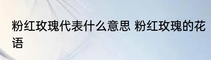 粉红玫瑰代表什么意思 粉红玫瑰的花语